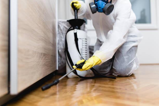 Best Residential Pest Control  in Clairton, PA