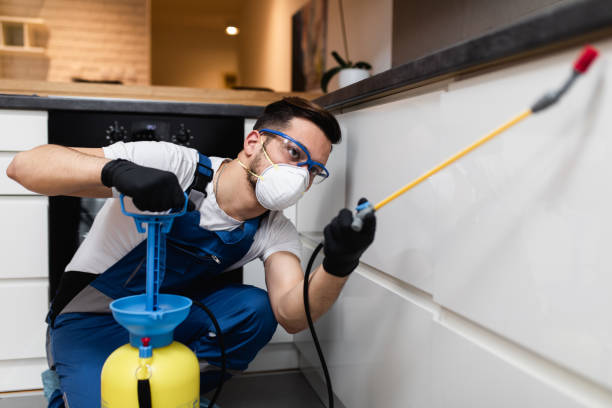 Best Insect Control  in Clairton, PA