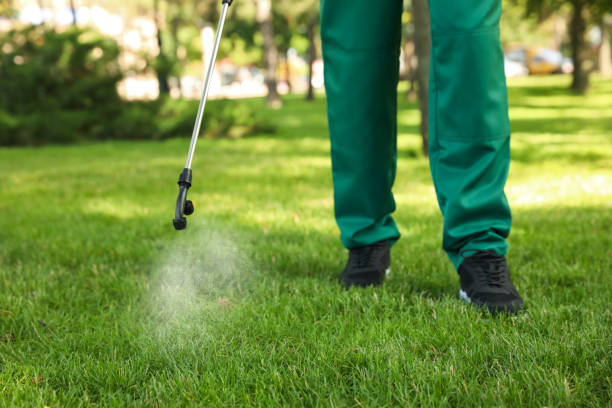 Best Pest Removal Services  in Clairton, PA