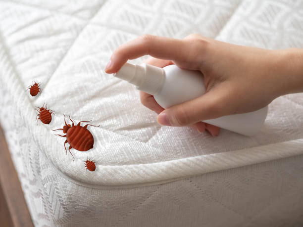 Best Cockroach Control Services  in Clairton, PA